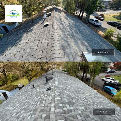 Sierra Gray Shingles