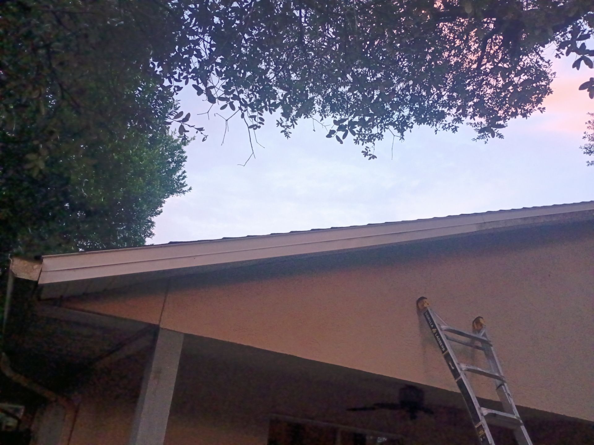 New Smyrna Beach Residential Roof Replacement Using Tamko Titan Shingles by Pinnacle Roofing Group