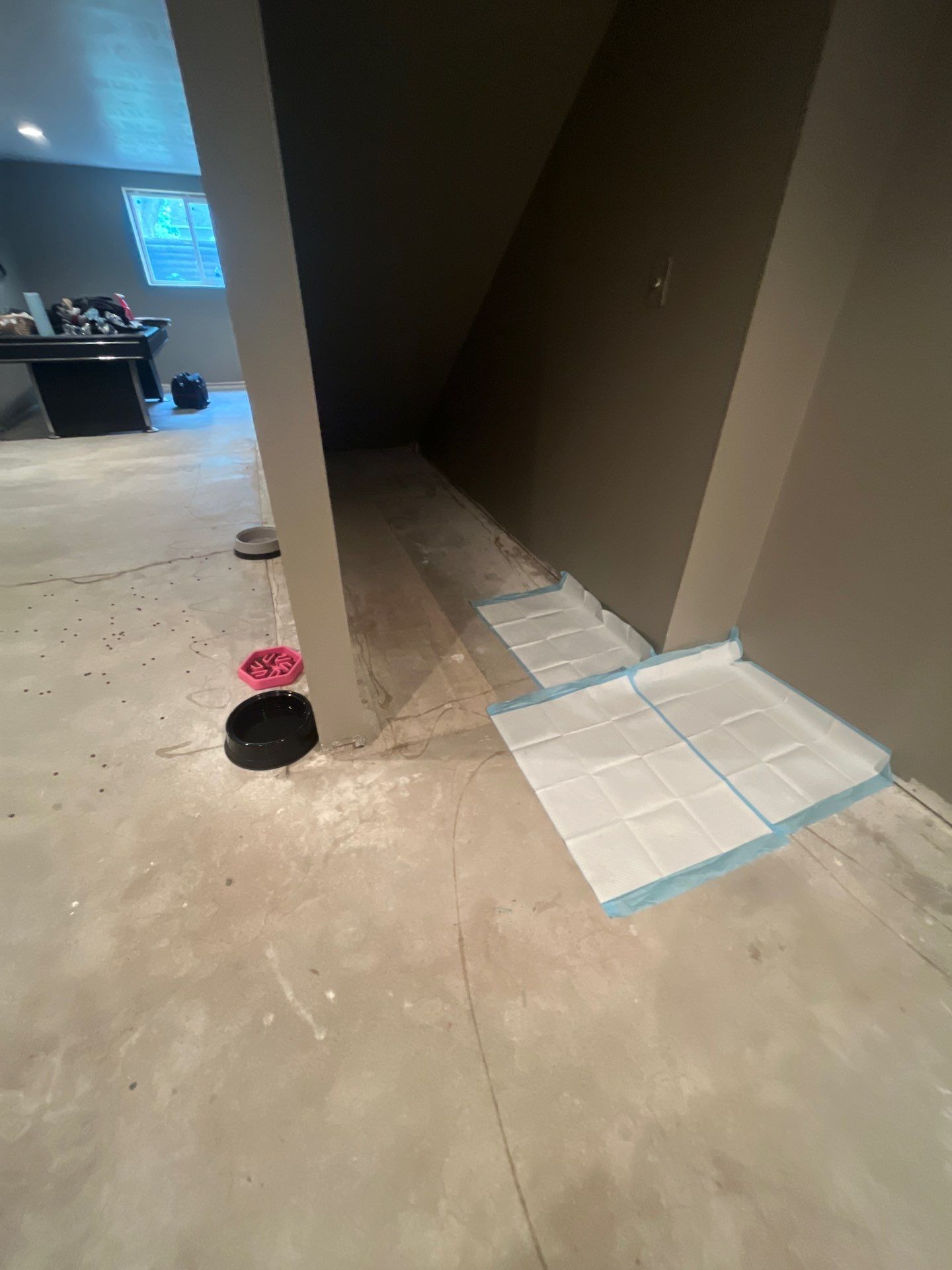 Custom Multi-Fleck Epoxy Floor Coating for Residential Basement by Select Painting, Coatings & Garage Cabinets