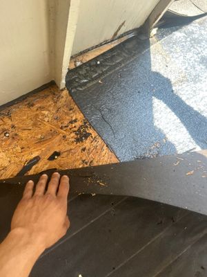 Roof Repair Spring