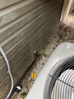 Project in Jersey City