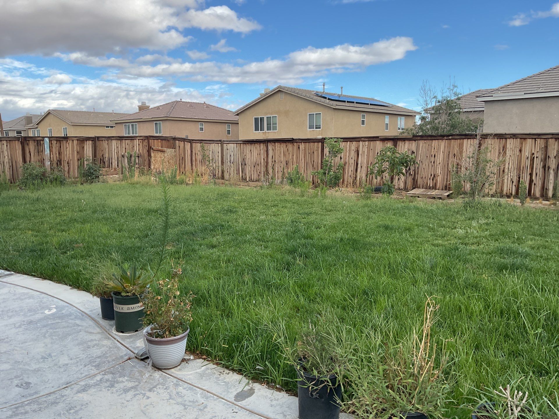 Tan Vinyl by Fence Guys Inc. 