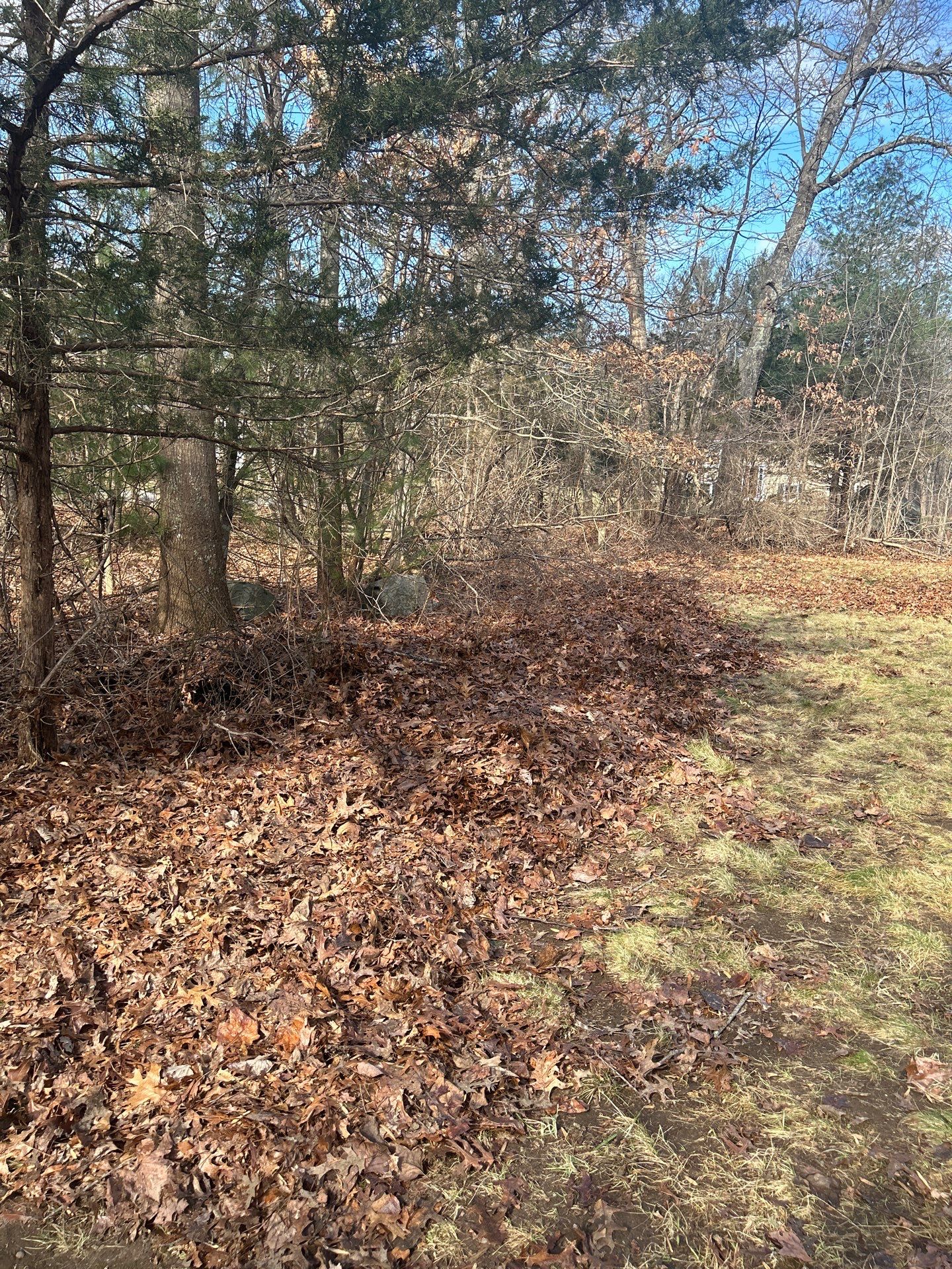 Landscape Walkthrough by LaMere Landscaping and Property Maintenance