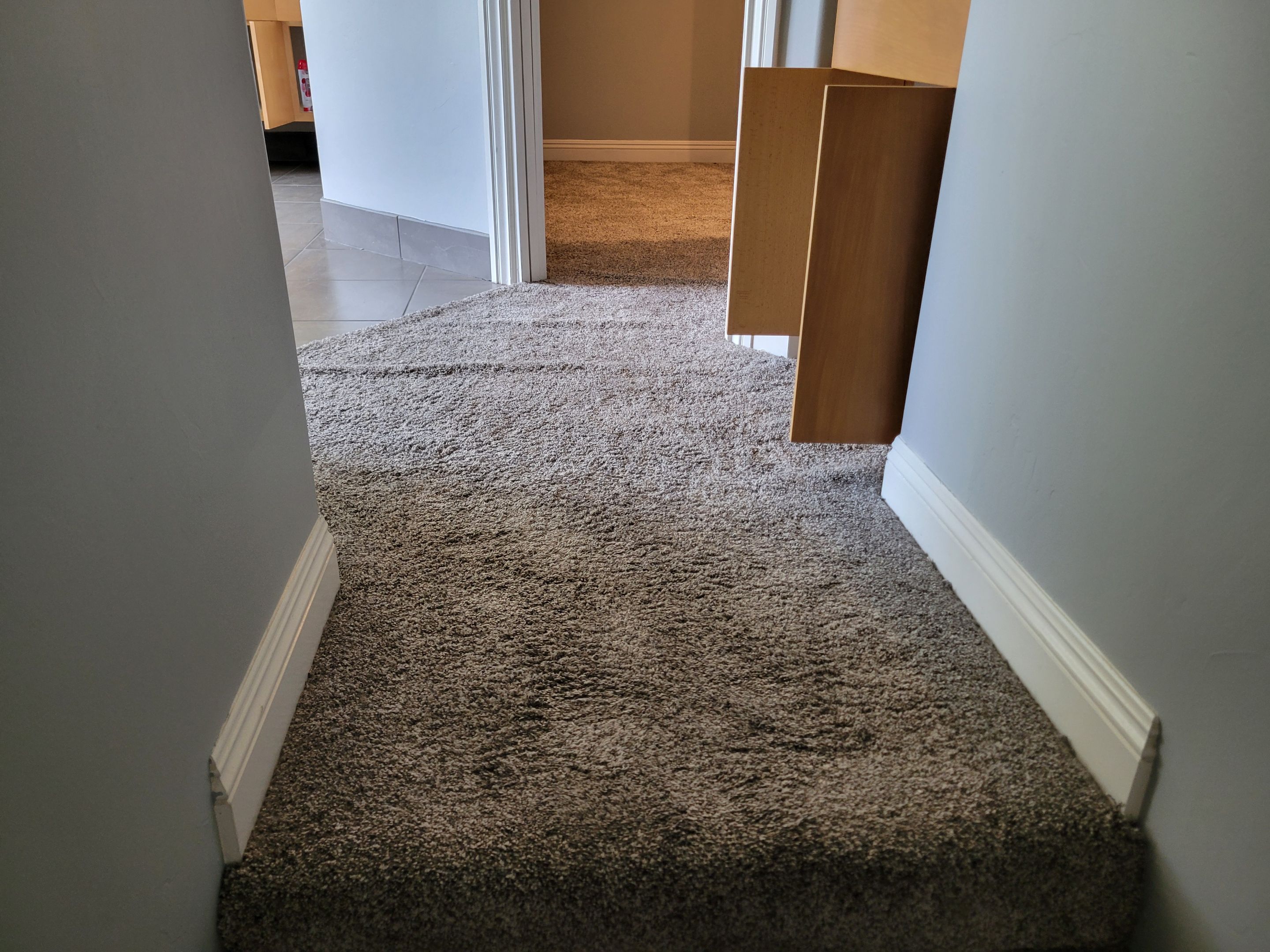 Carpet Re-stretch & Cleaning for House Listing by Ardent Carpet Restore LLC