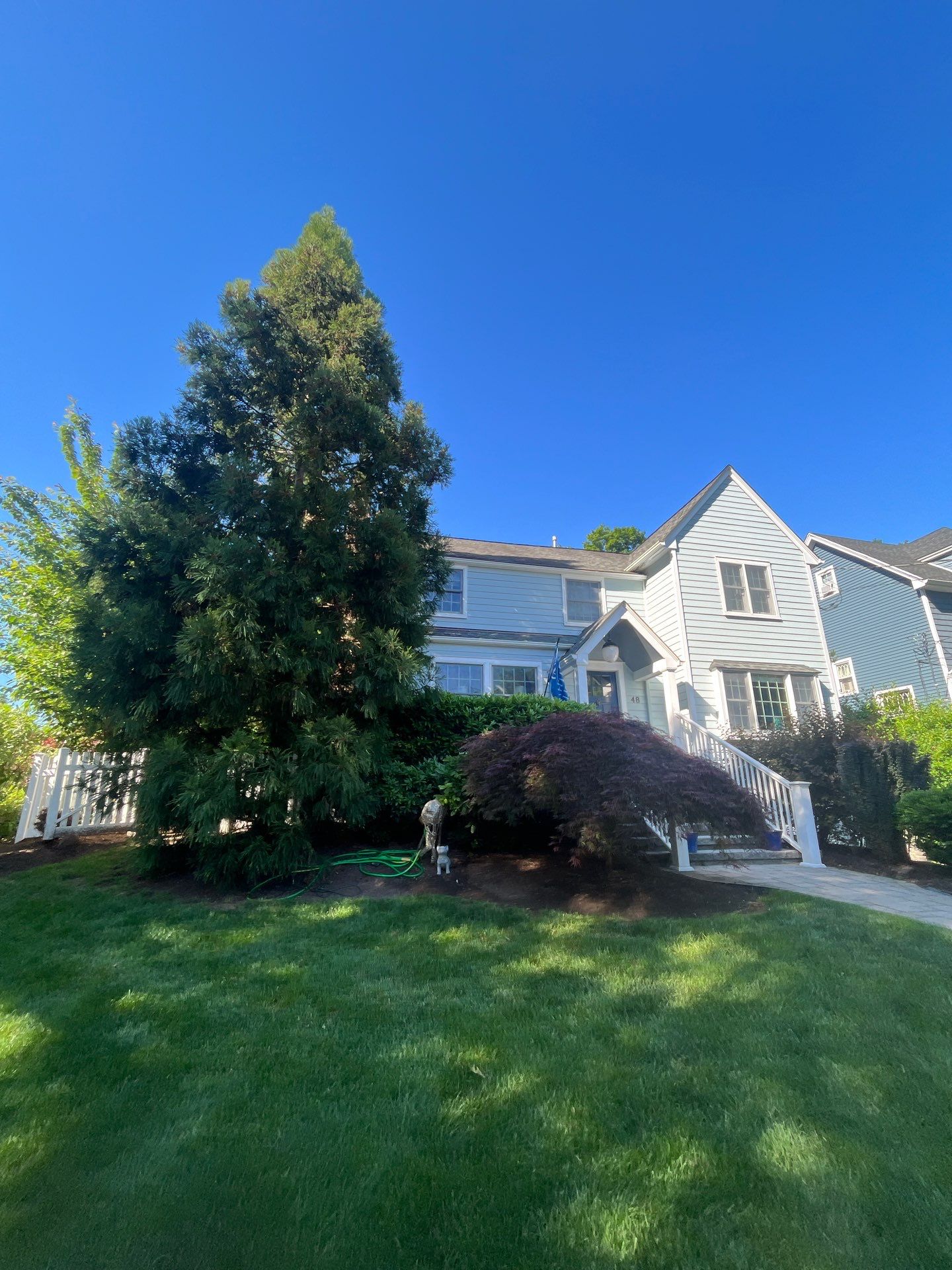 Comprehensive Lawn Care and Aeration and Seeding in Chatham by Ants Plants