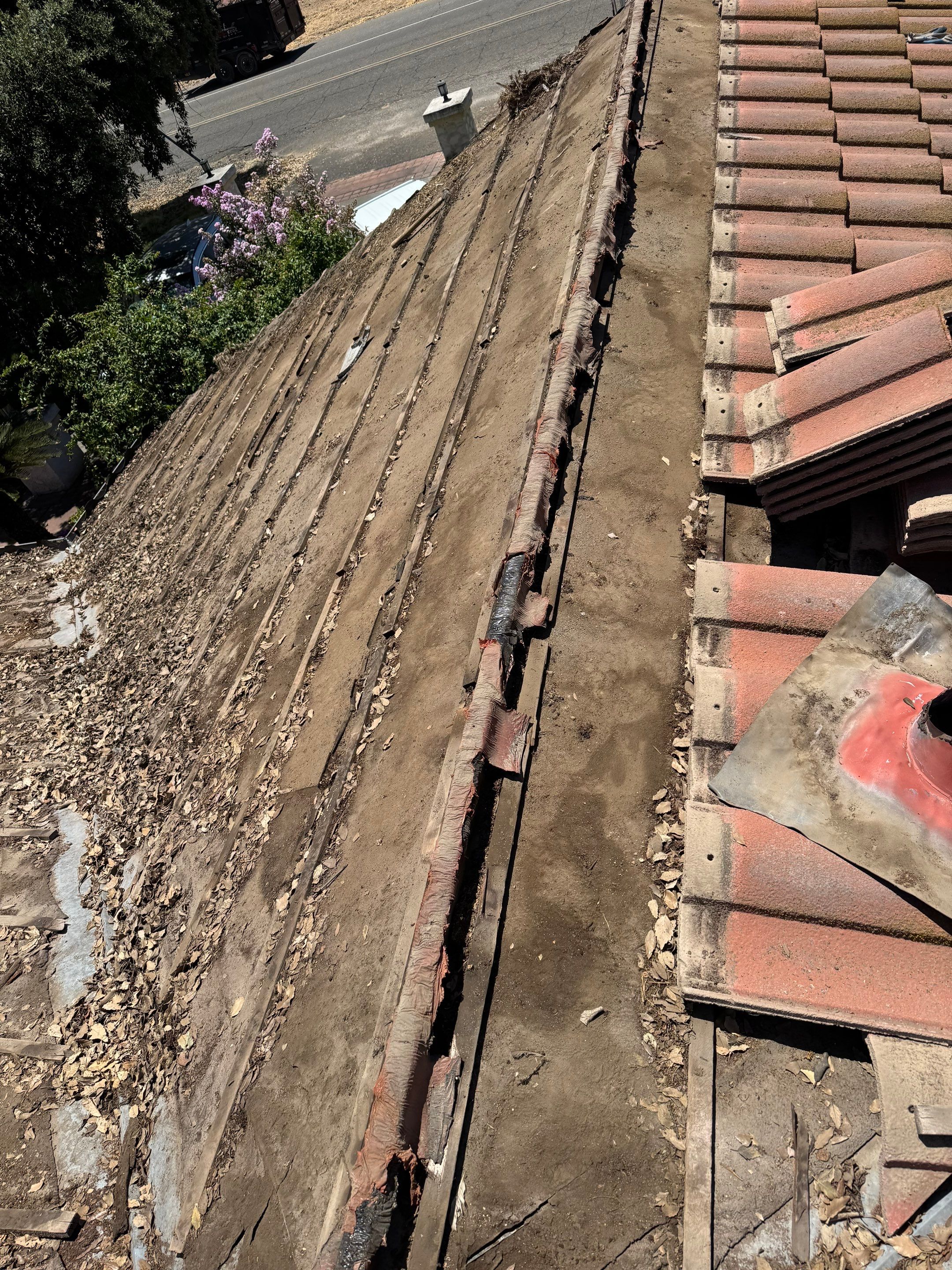 Presidential shingle roof by Straight Edge Roofing Inc