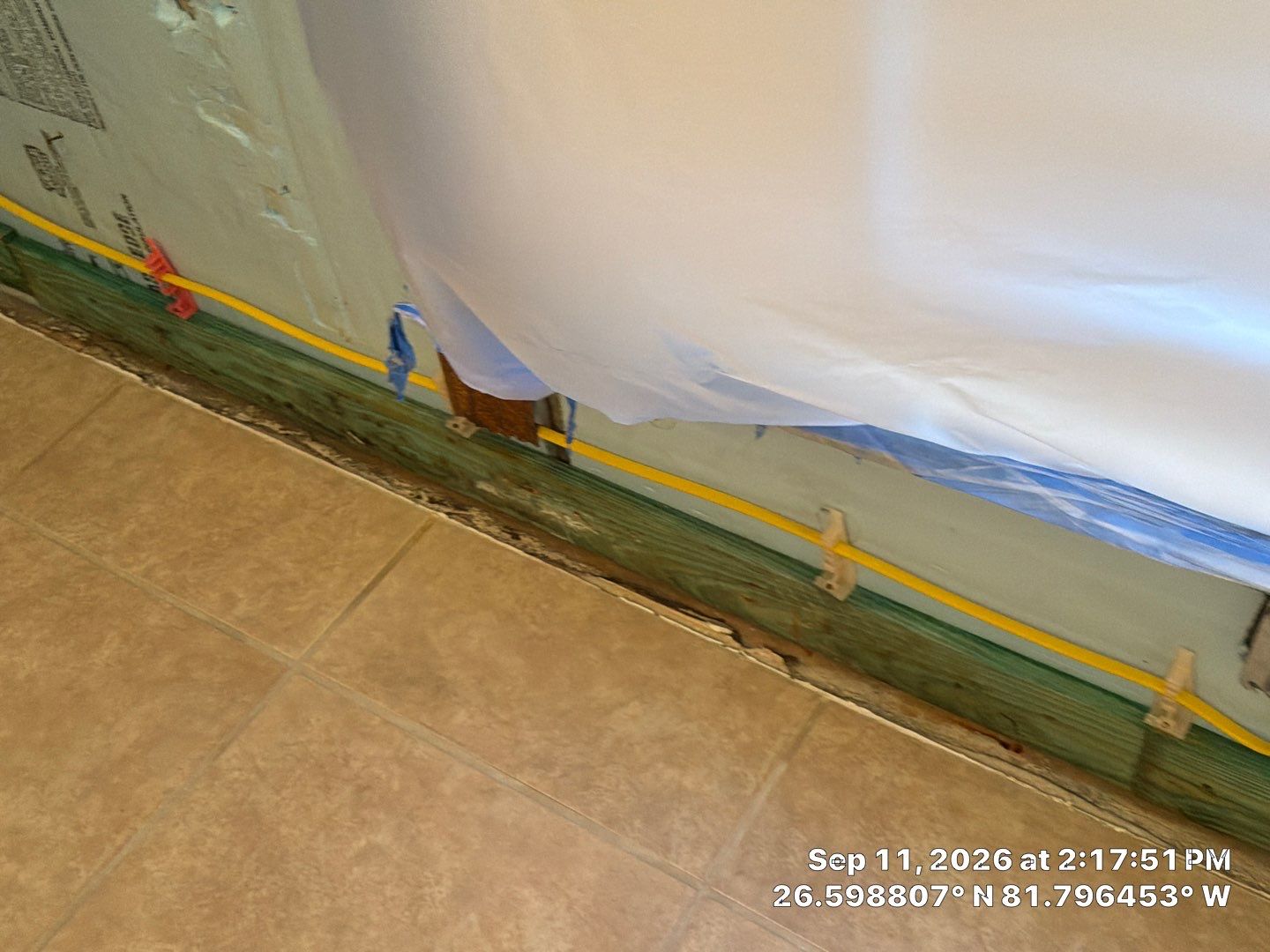 Fort Myers Water Damage Restoration and Professional Mold Remediation by Microscope
