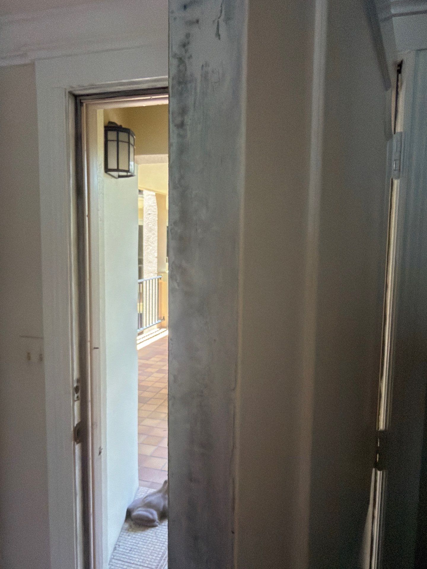 Residential Mold Remediation and Interior Moisture Damage Assessment in Palm Beach by SuperClean