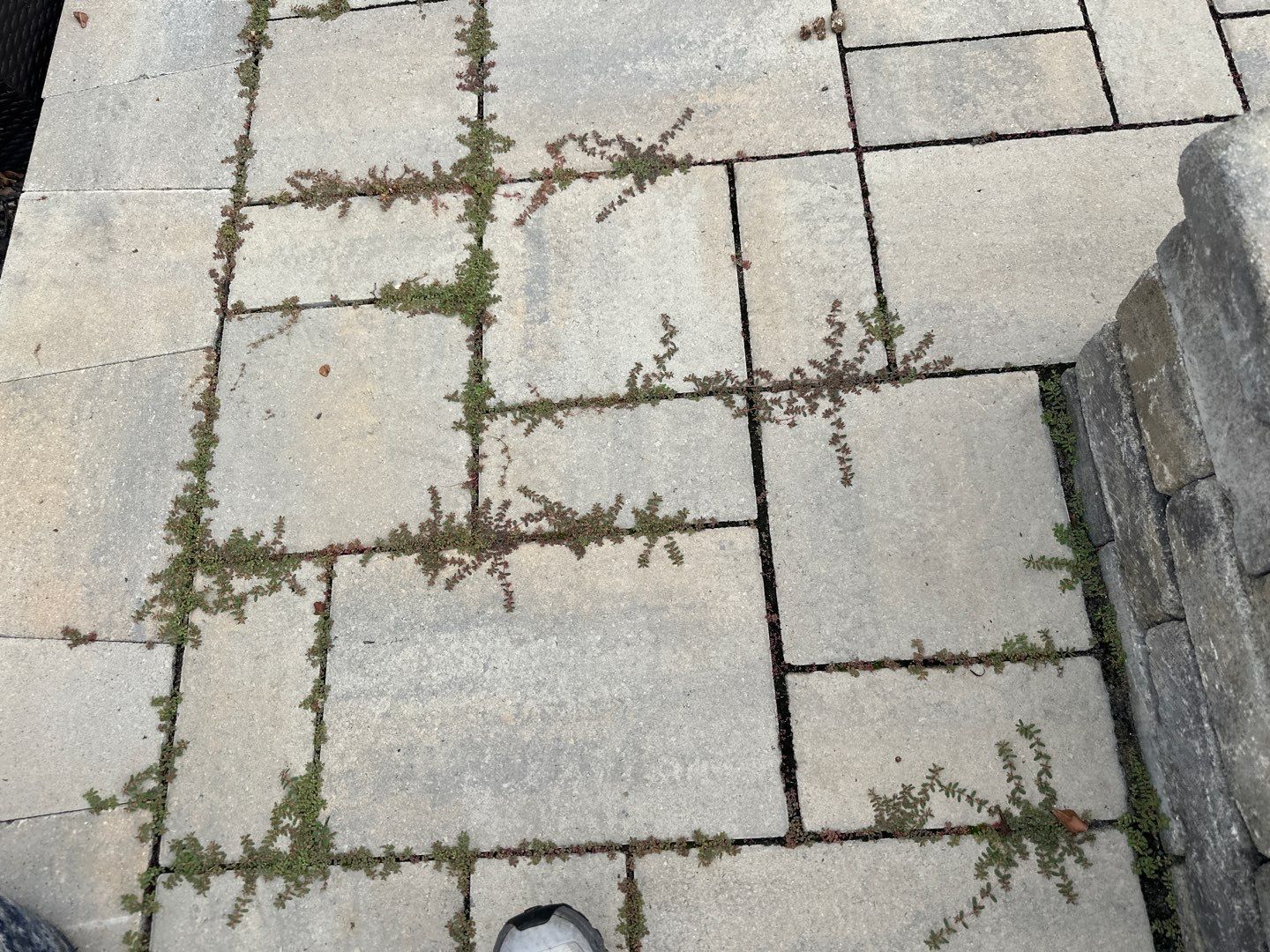 Patio using Wood Sealant, Top Coat, and PolySand by DuraSeal