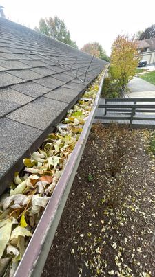 Gutter Protection for Wheeling Homes