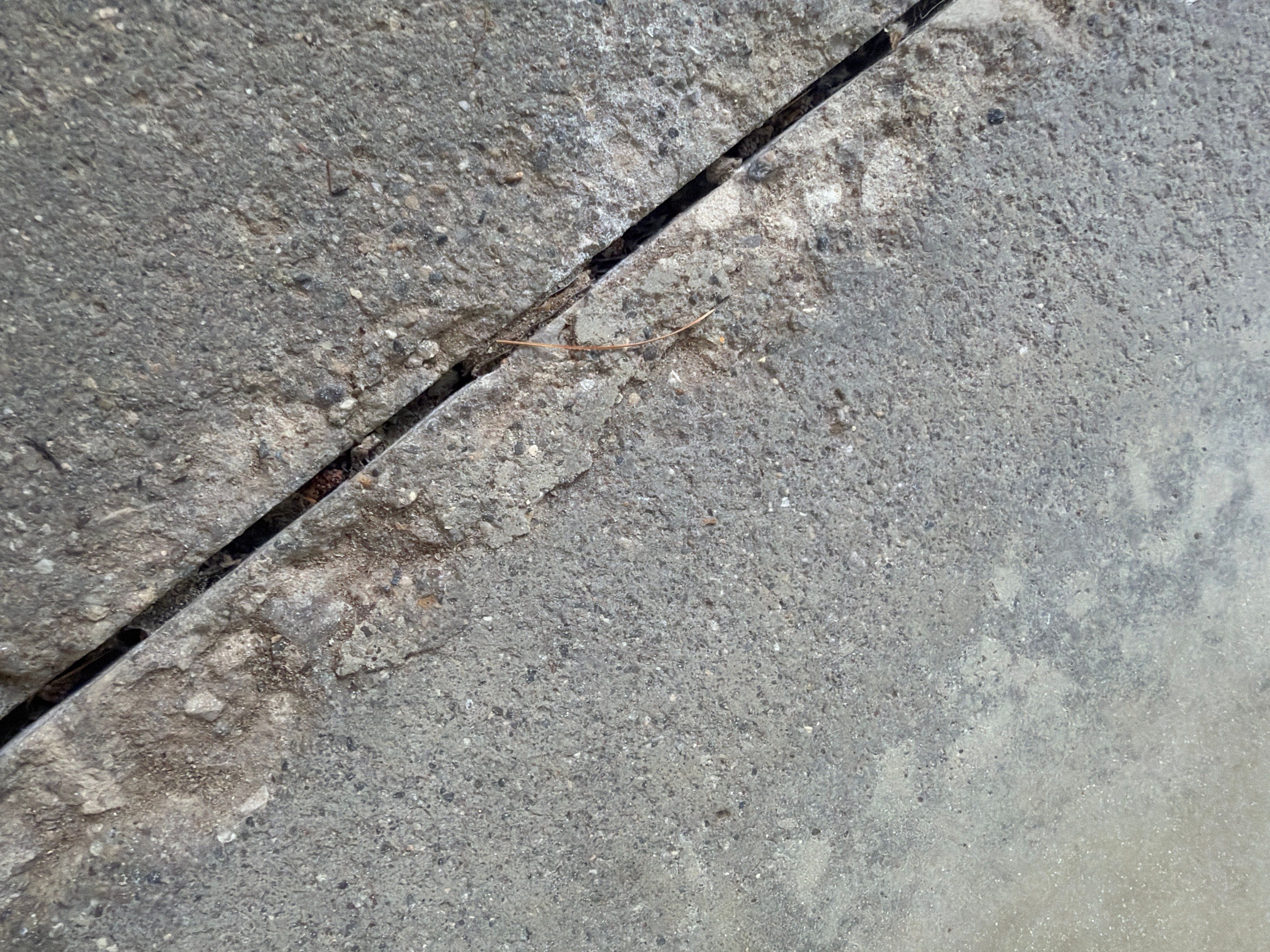 Project in Dansville, Michigan by Freedom Concrete Coatings. 