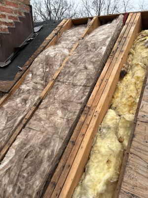Turtle Shell gutter protection installation in West Chicago, IL 60185, photograph 55