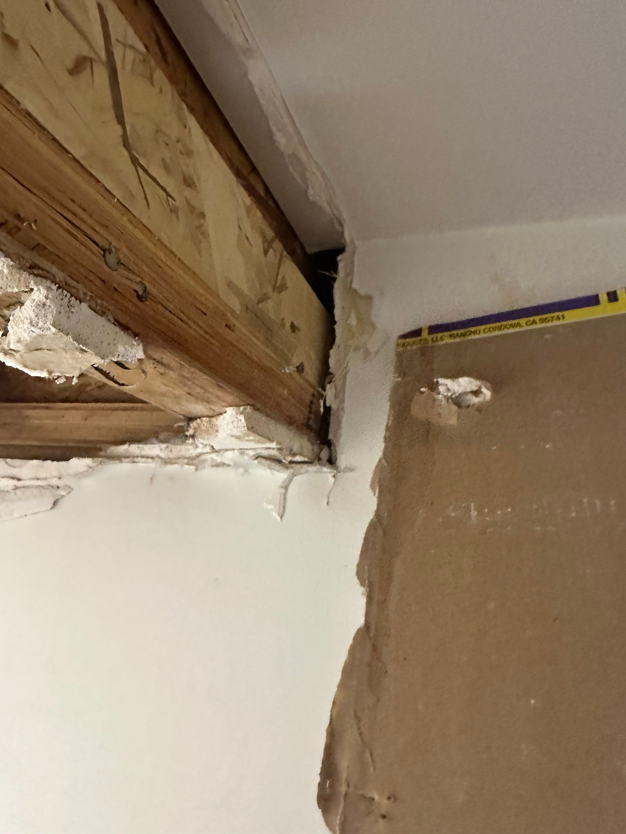 Water Damage in Denver, CO by Alpha Restoration 