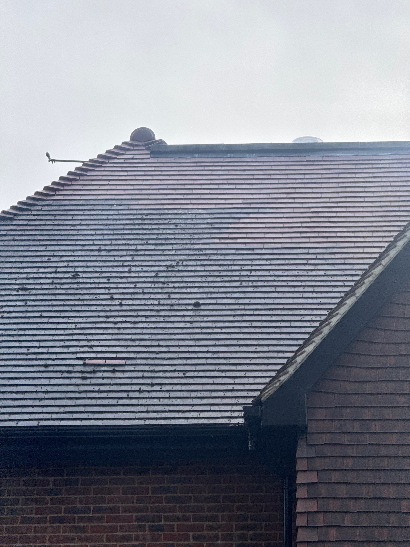 Roof - Driveway - Patio Clean using 18inch Whirlaway FSC by Ges Exterior Cleaning ltd