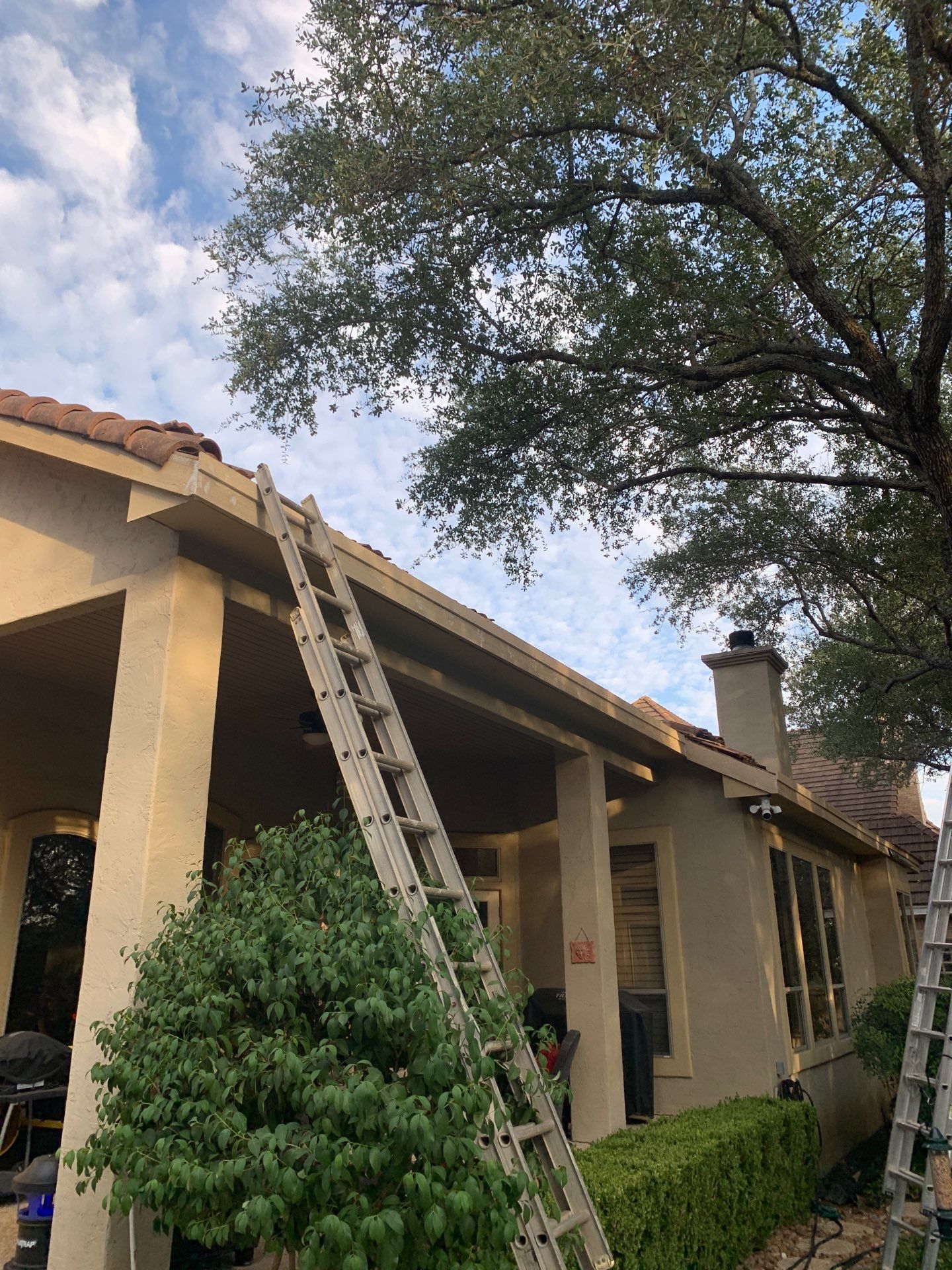 Fascia Carpentry Repair and Paint  by Rox Roofing