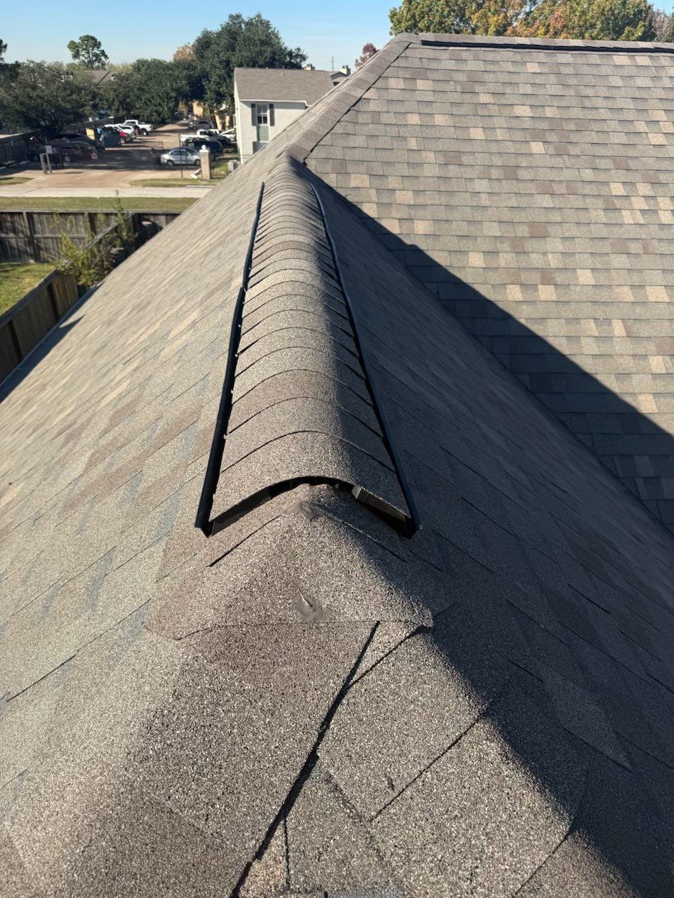 NOMI B. by Boss Hogg Roofing
