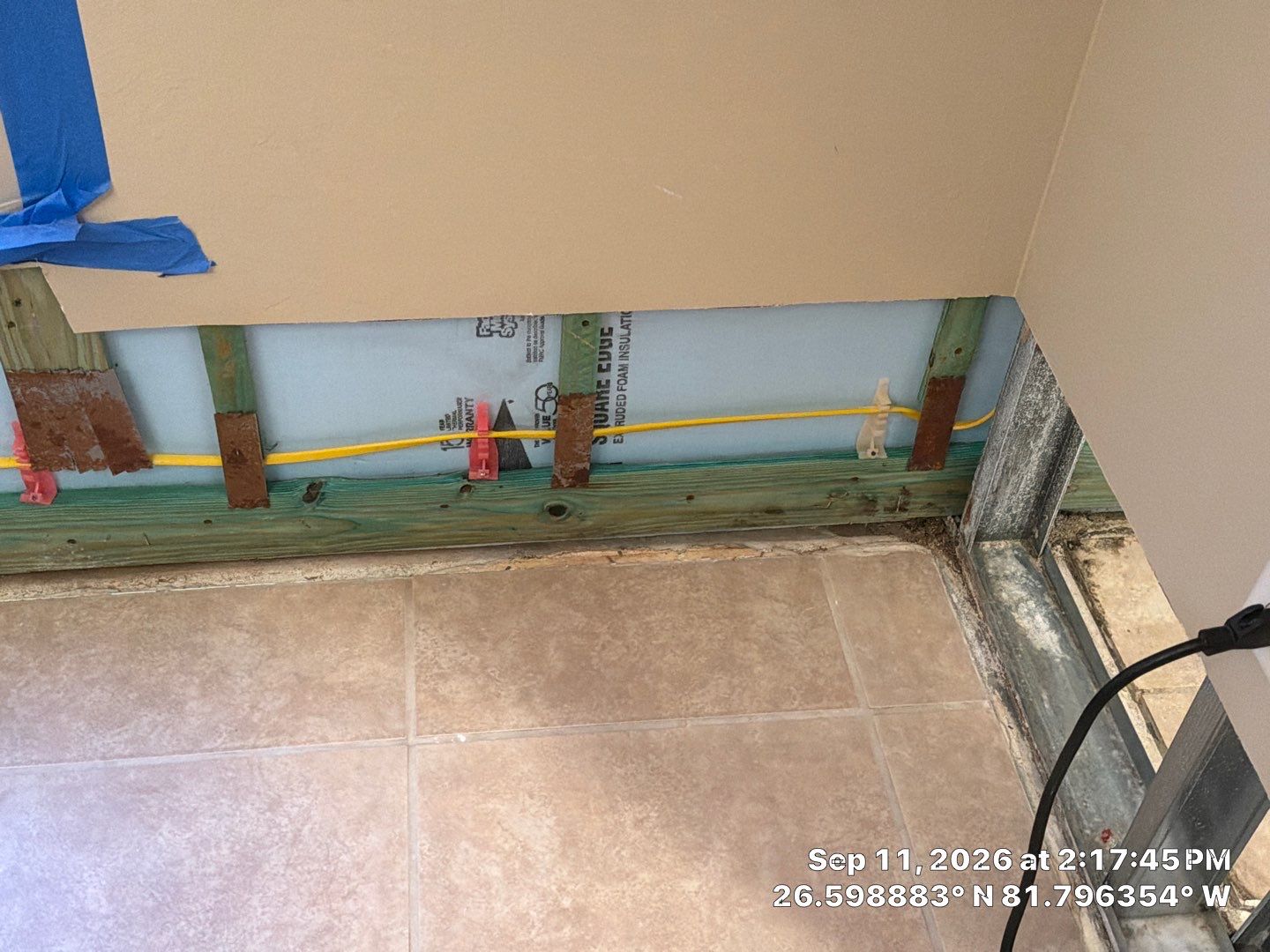 Fort Myers Water Damage Restoration and Professional Mold Remediation by Microscope