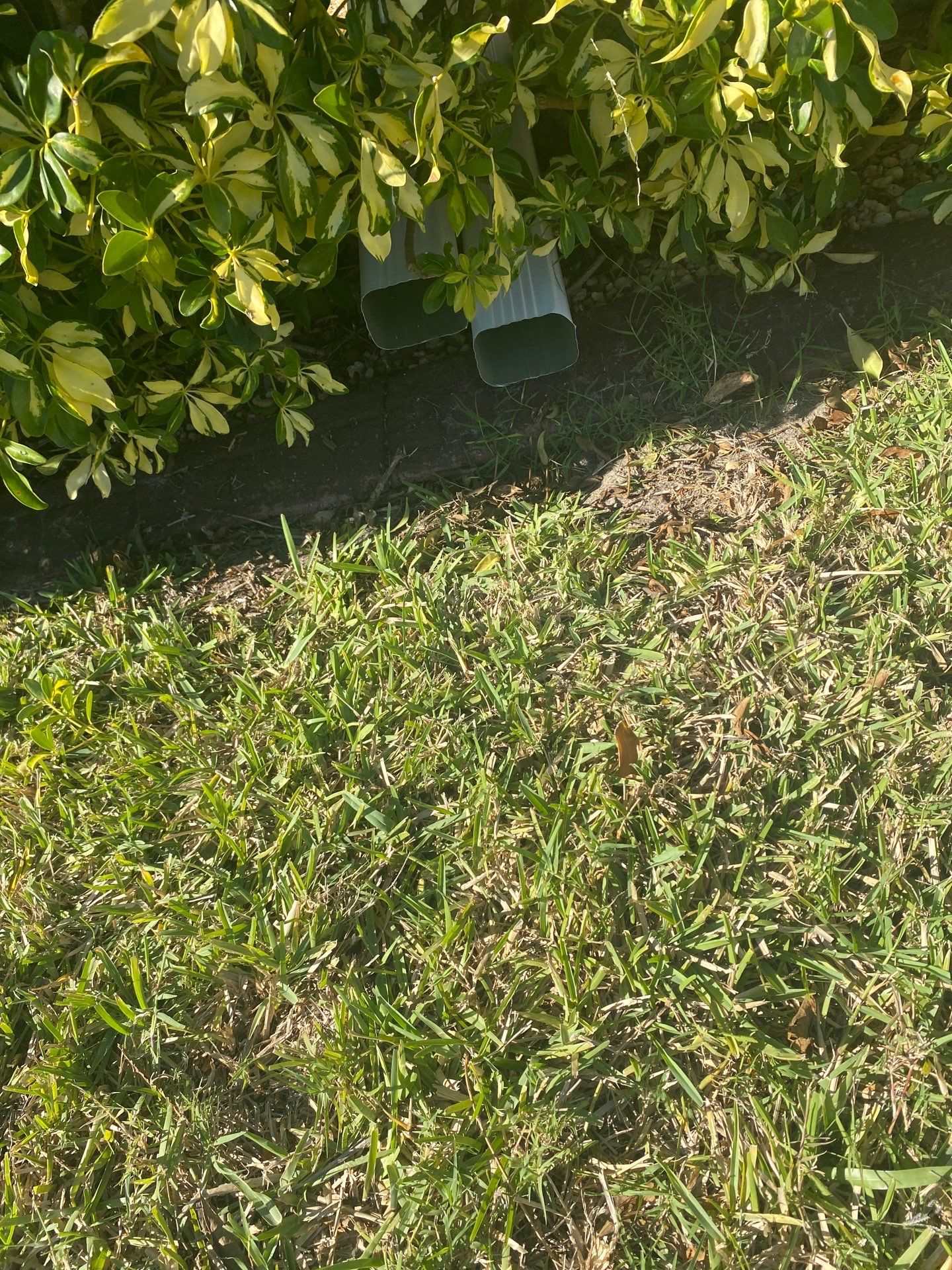 Seamless Gutter Installation Before Rainy Season in Cape Coral FL by Gutter Professors