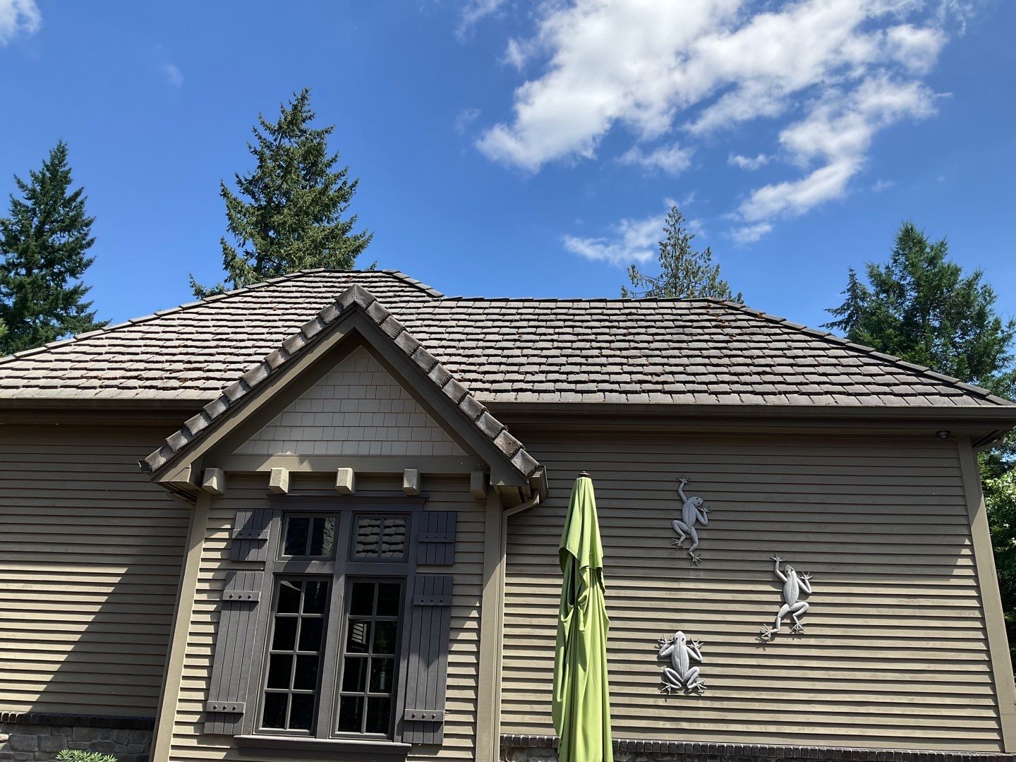 Moss Removal/ Treatment using Biocide by Willamette Outdoor Wash LLC