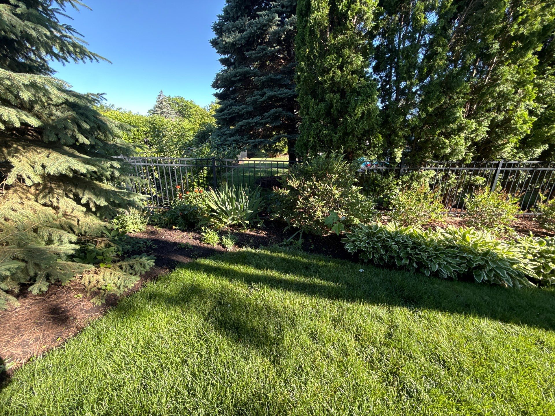 Lesley D. - Arlington Heights, IL by A&N 