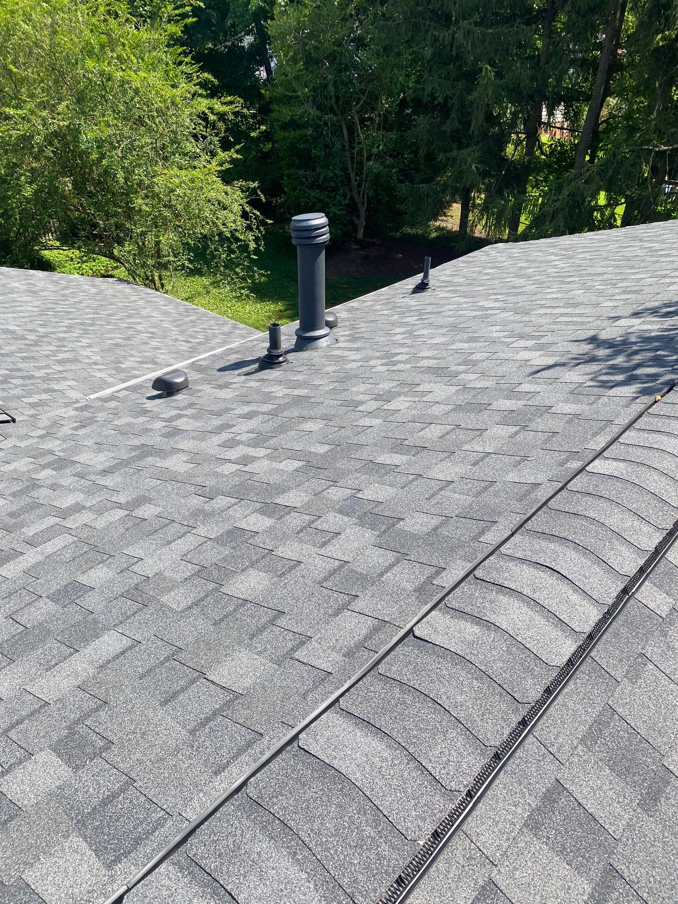 Vienna: CertainTeed Landmark Pro Architectural Shingles in Max Def Pewterwood by RM Banning, Inc.