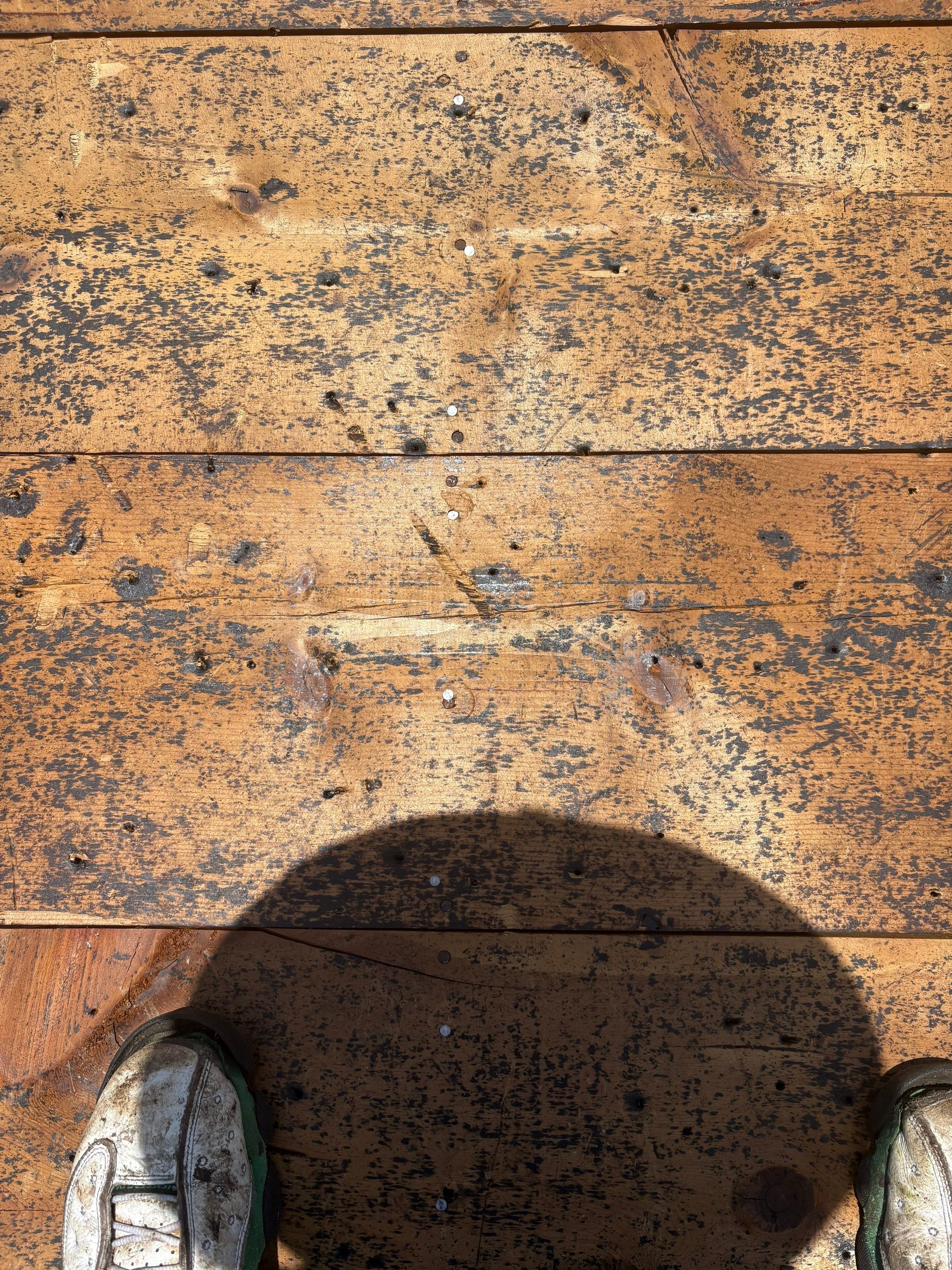 Project in St. Petersburg 33713 by Mitchell Roofing Company LLC 