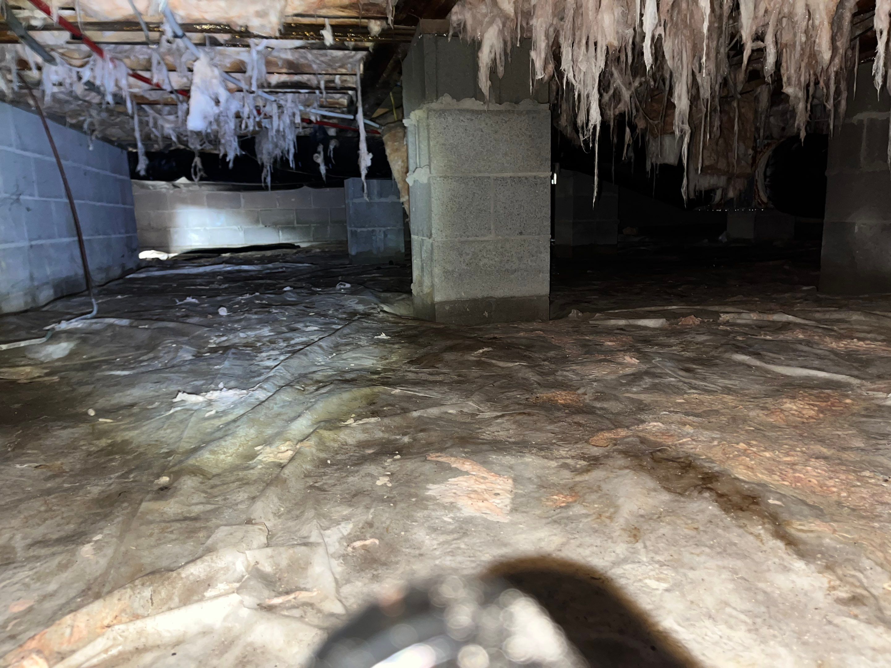 Premium Encapsulation with Bora-Foam using Bora-Foam Insulation by Impact Crawlspace