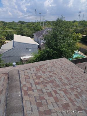 Project in Bellaire