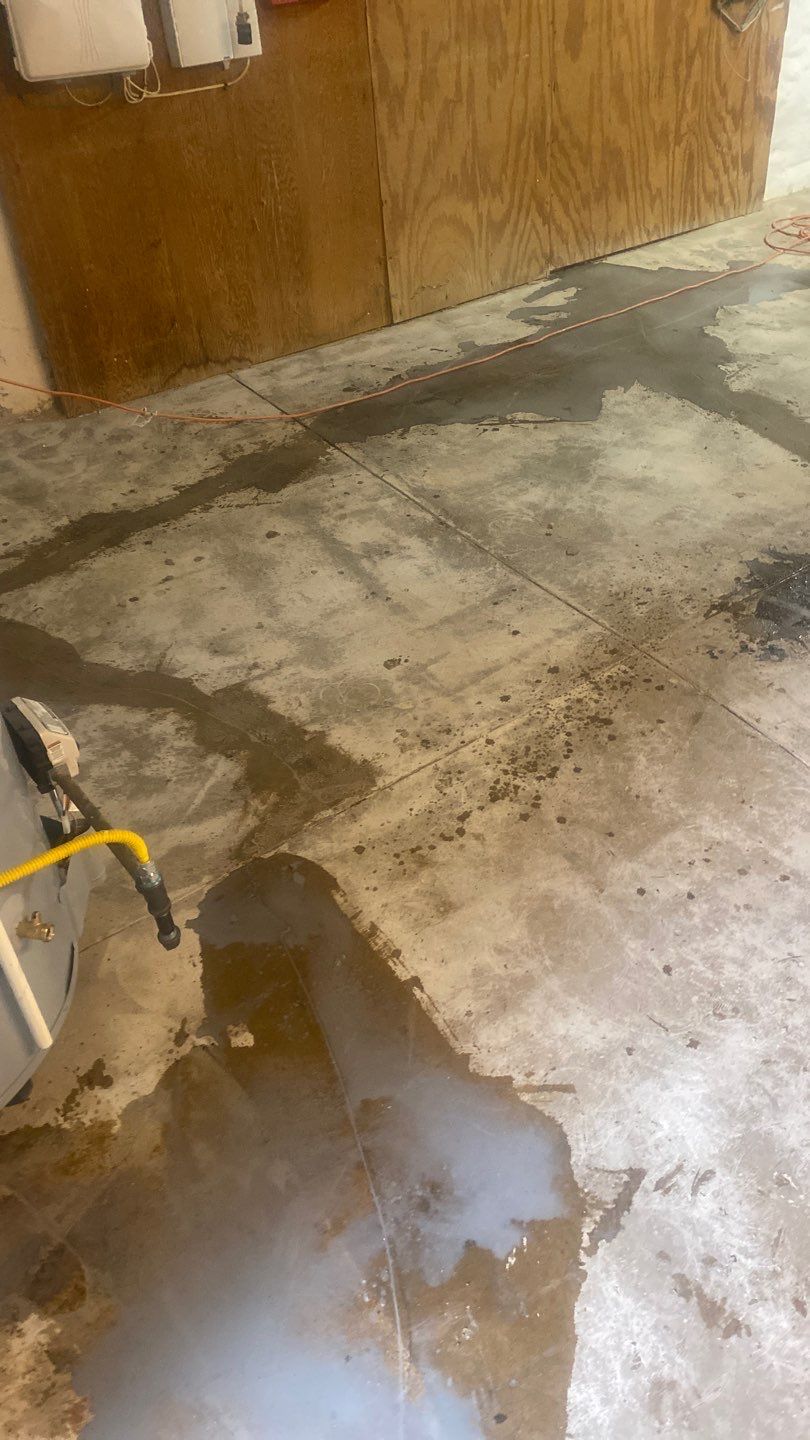 Cat Hospital Project in Pittsburgh by Floors in a Day, Inc