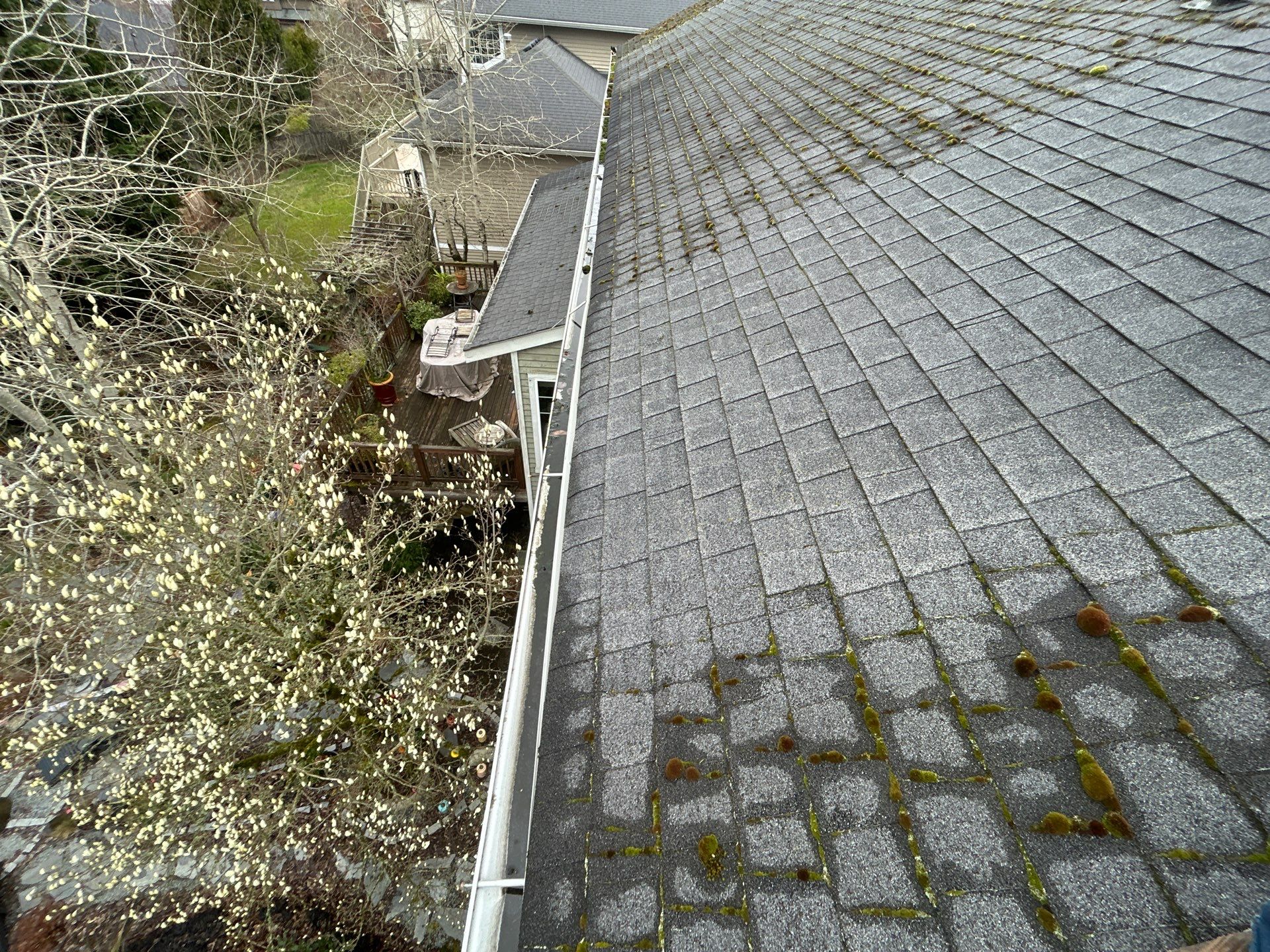 Project in Bellevue by Peaks and Valleys Construction