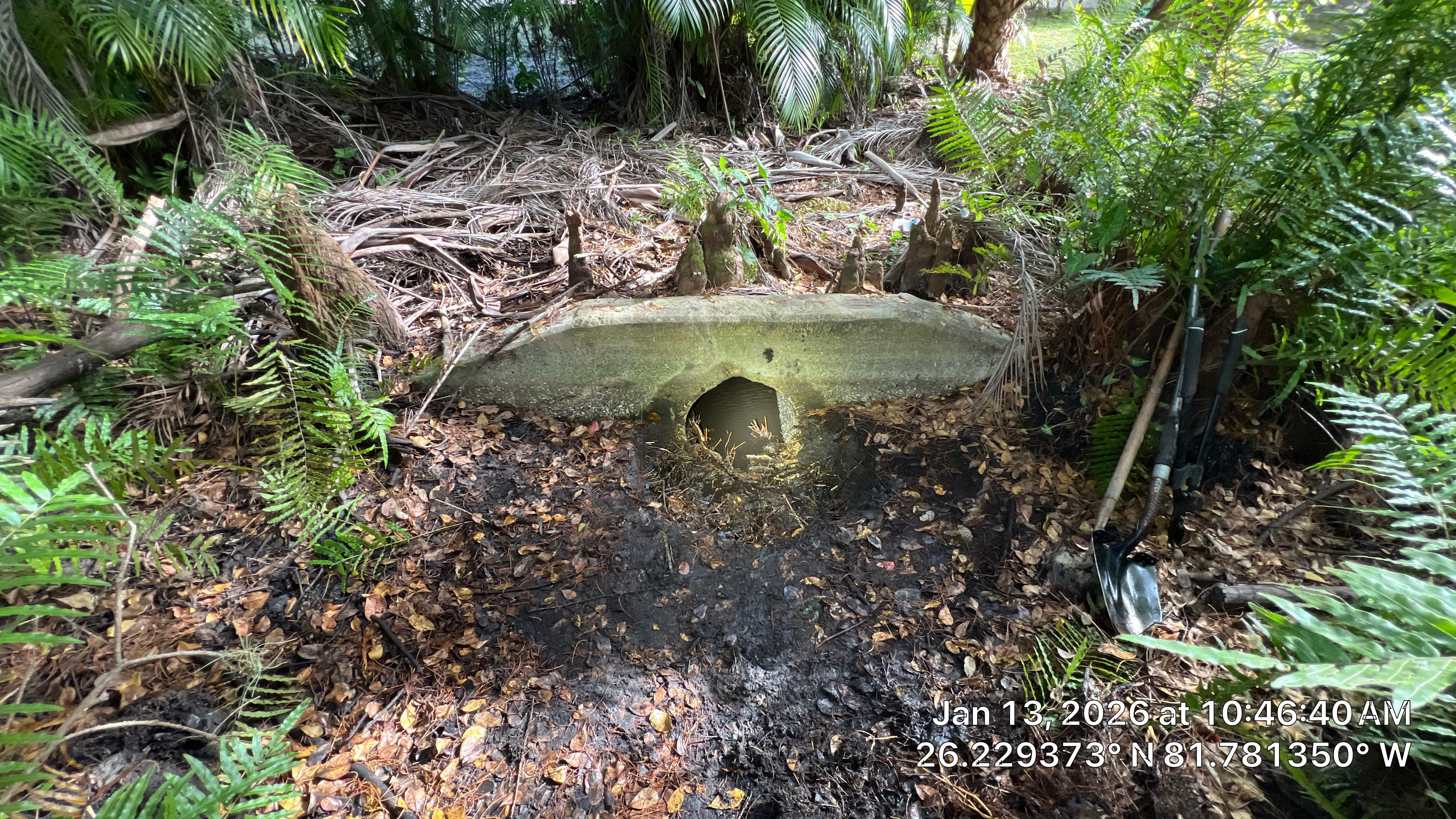 Naples Community Root Intrusion Investigation with P.R.S. by APS Power & Water