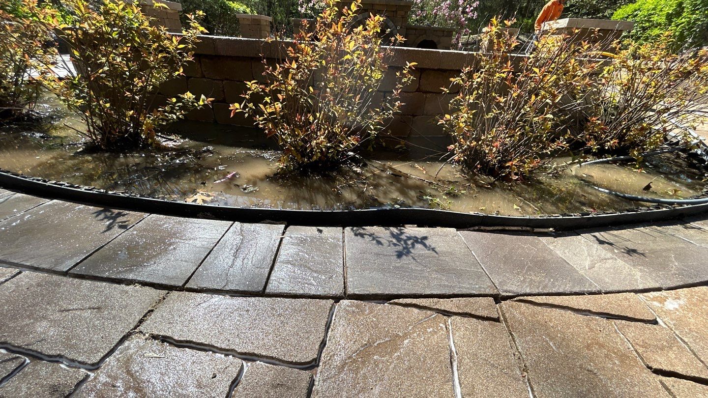 natural stone using Algaecide, soft wash soap by Northern Power Washing LLC.