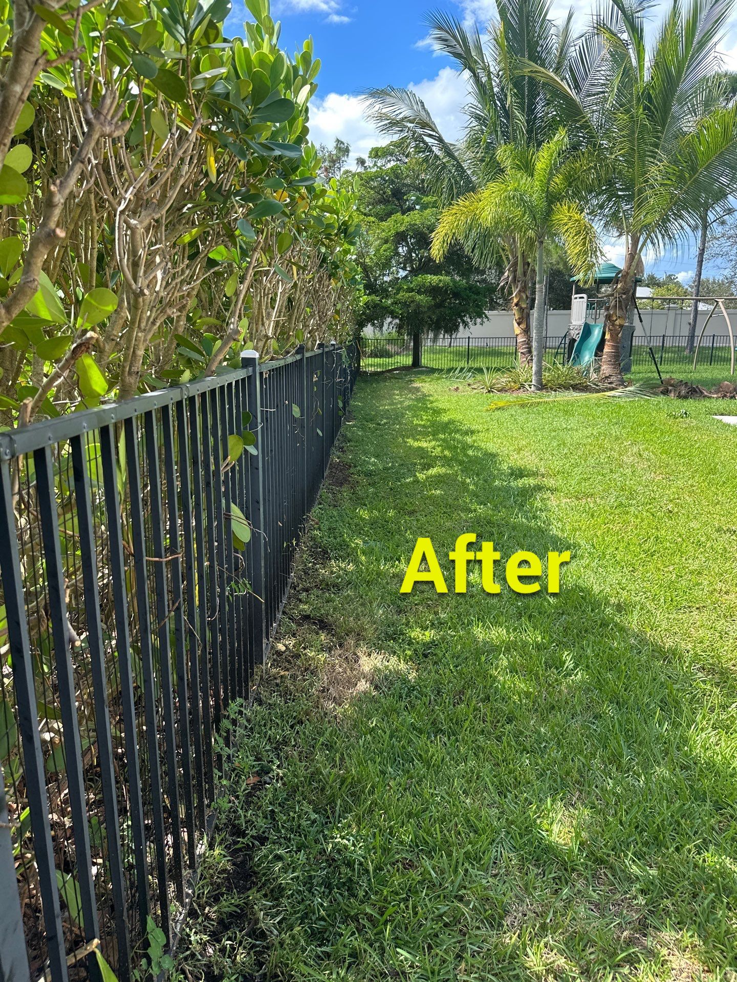 From Overgrown to Picture-Perfect - Stuart Refresh by Alpha Zeta Enterprises Inc