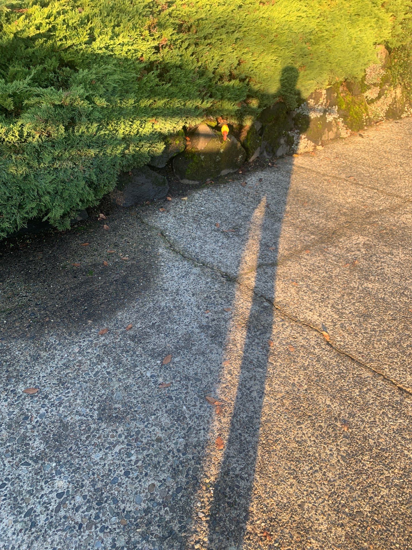 Concrete Driveway Repair | Seattle  by Jireh Asphalt & Concrete Inc 