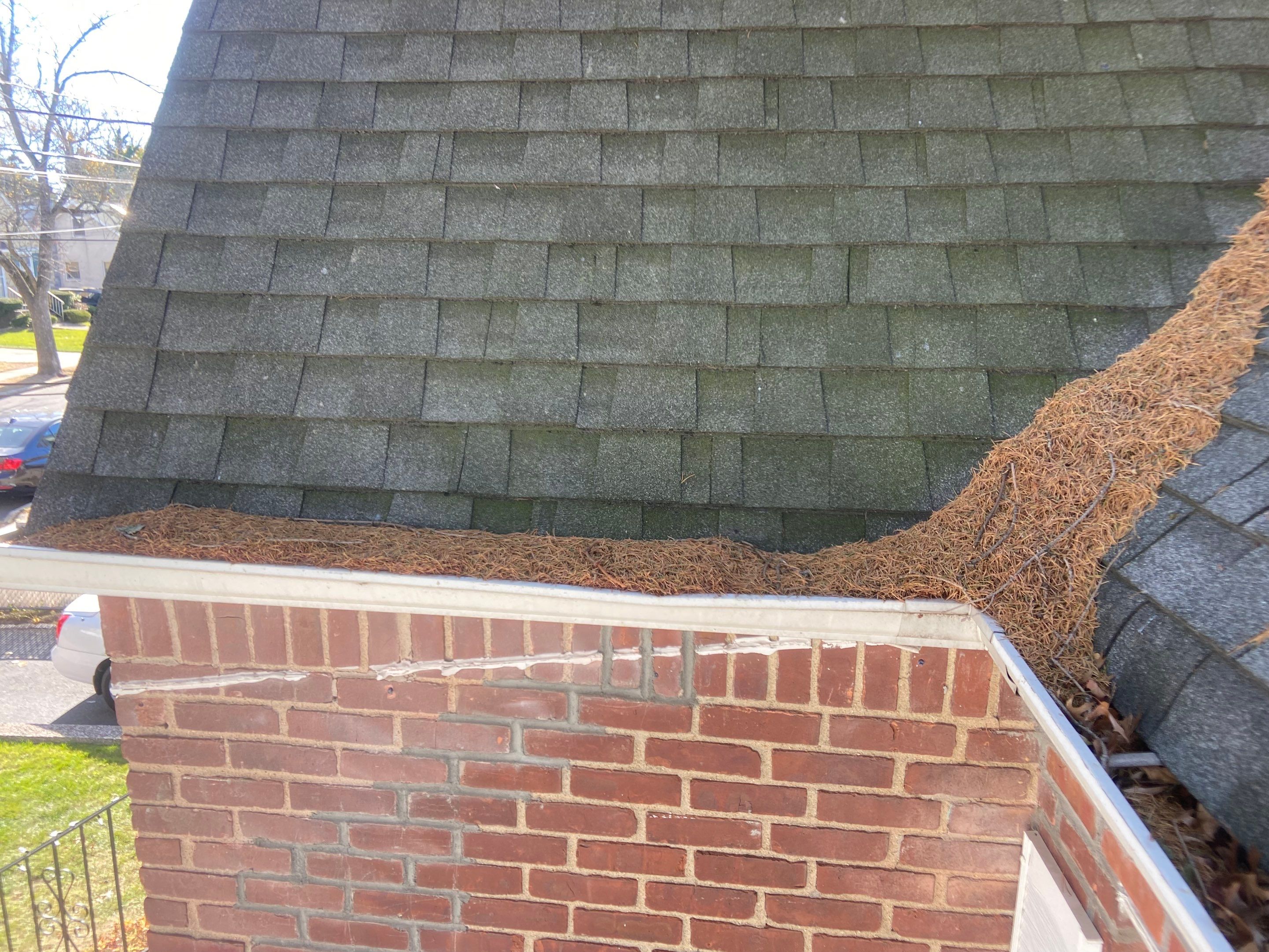 Pine needles fall all year round. 🌲 by Above All Gutters 