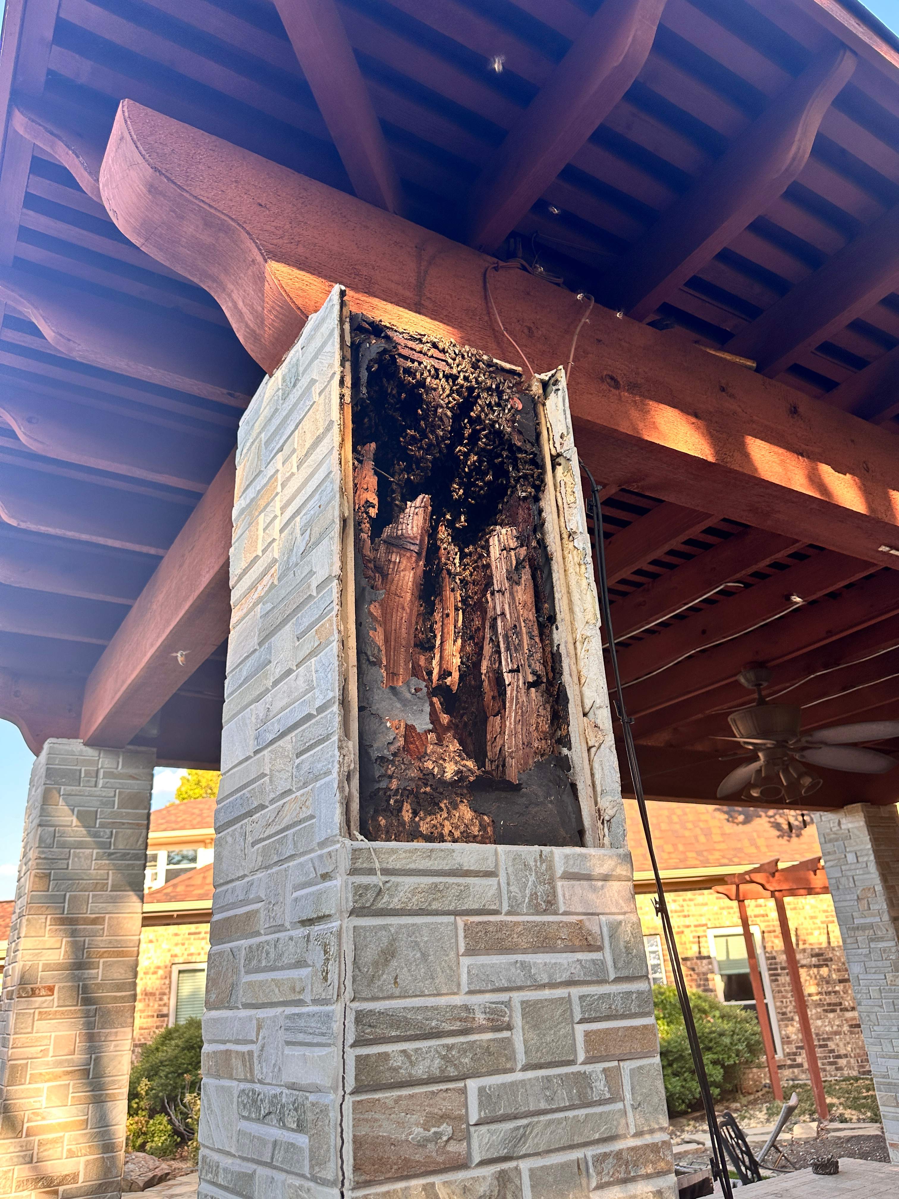 Scary Pergola by Rockwall Honey Bee Company