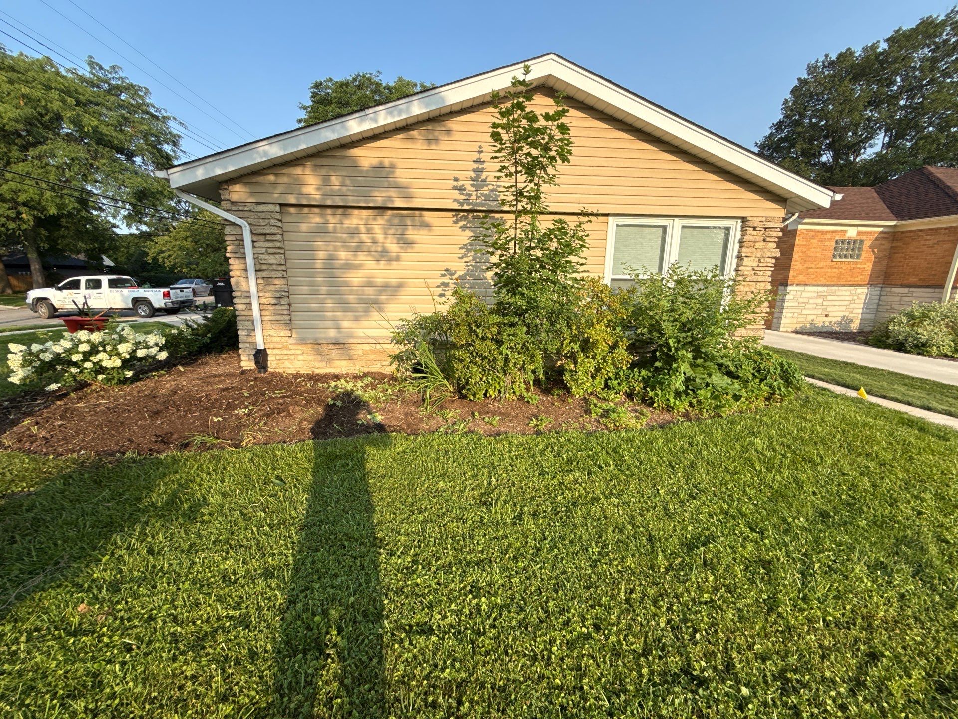 Jamie E. - Arlington Heights, IL by A&N