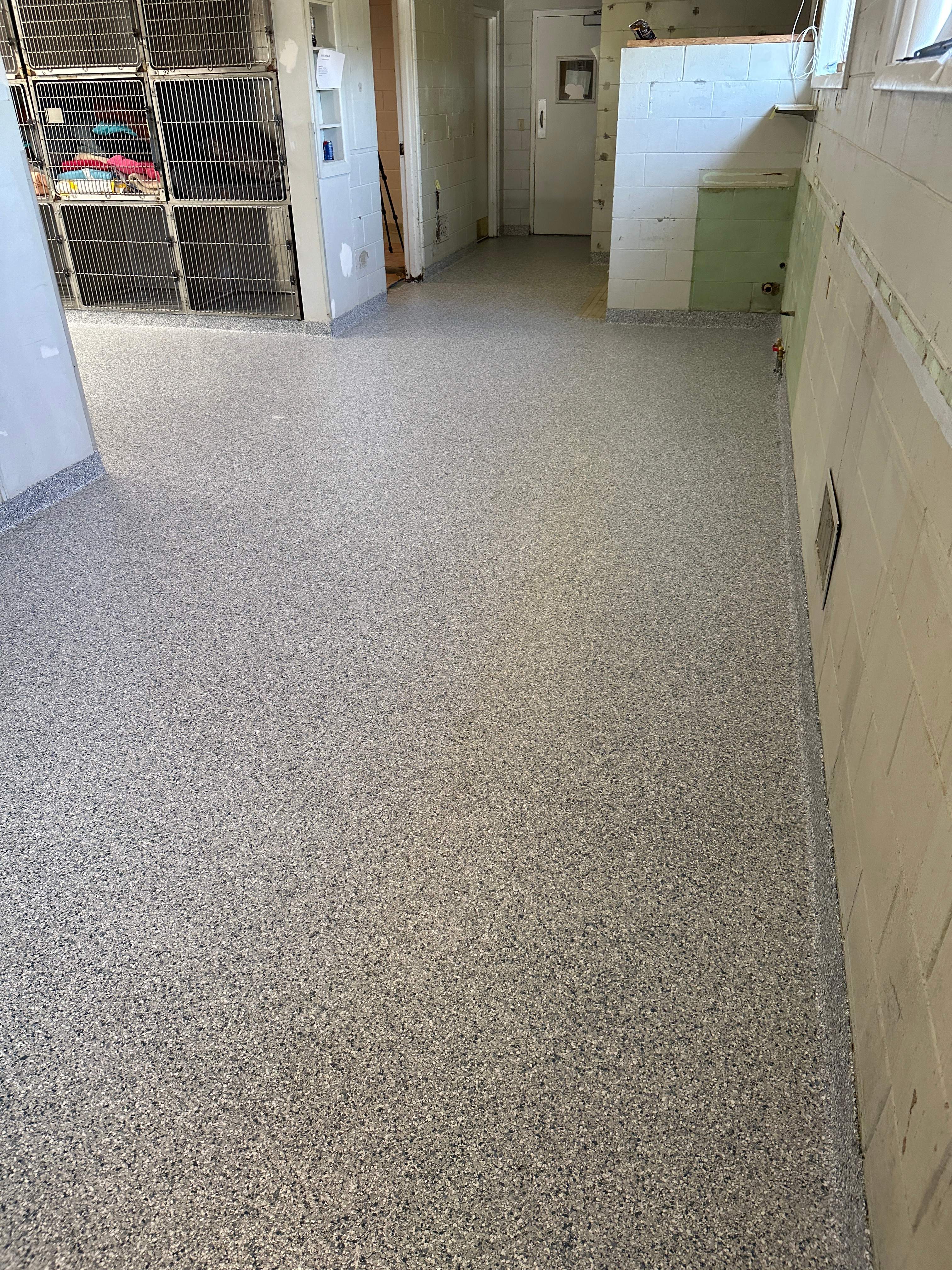 Steamboat Canine Shelter Normal by Loud Bros