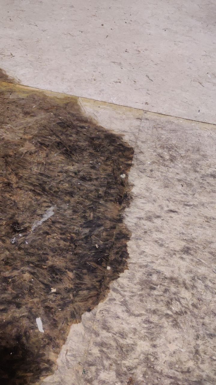 Water Damage Restoration by Accountable Home Services