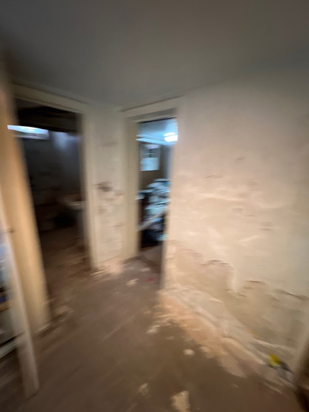 Mold Remediation by Accountable Home Services