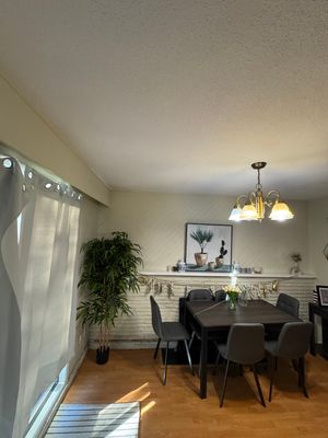 Ceiling Repair