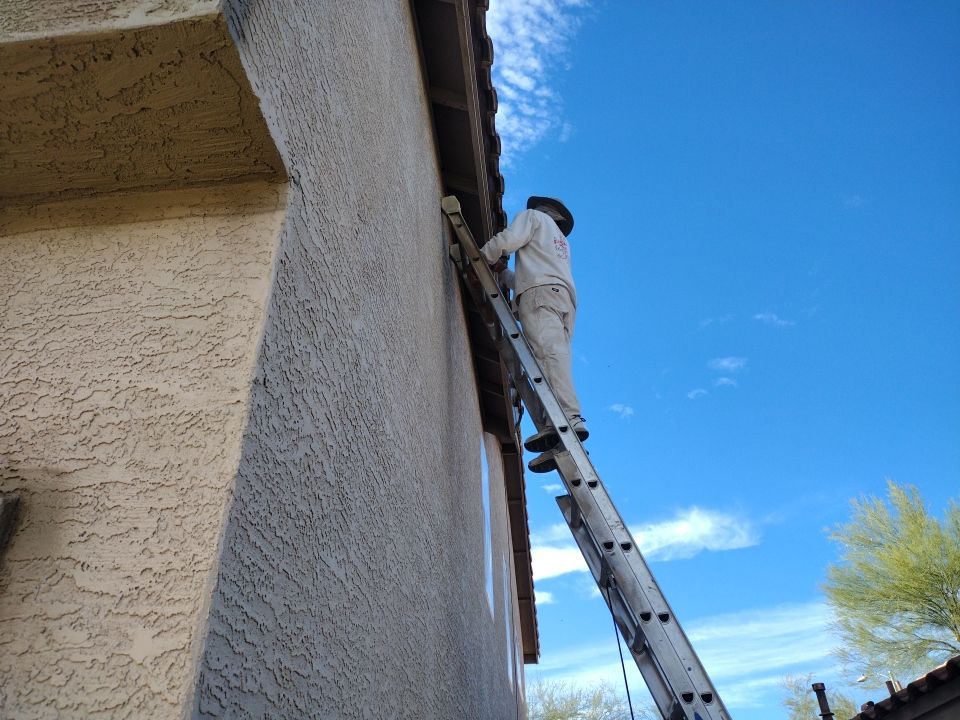 Build Year: 2000; 1950 s.f.; Residential Single Family Home in Phoenix AZ 85024 by Crash of Rhinos Painting & Garage Floors