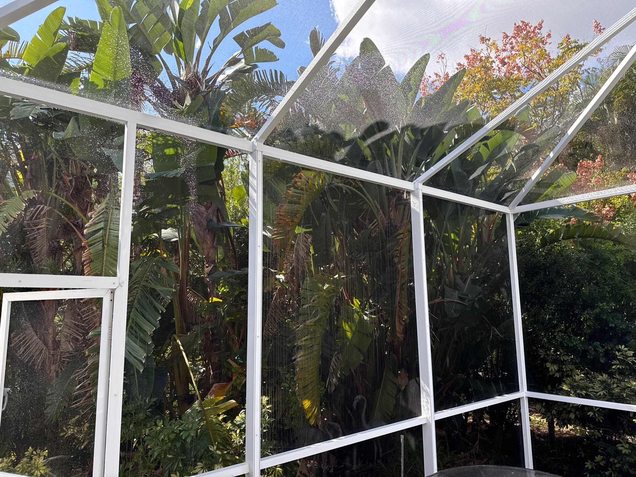 Paver Pool Deck & Screen Enclosure Transformation | University Park, Sarasota FL by Sunshine AquaWash