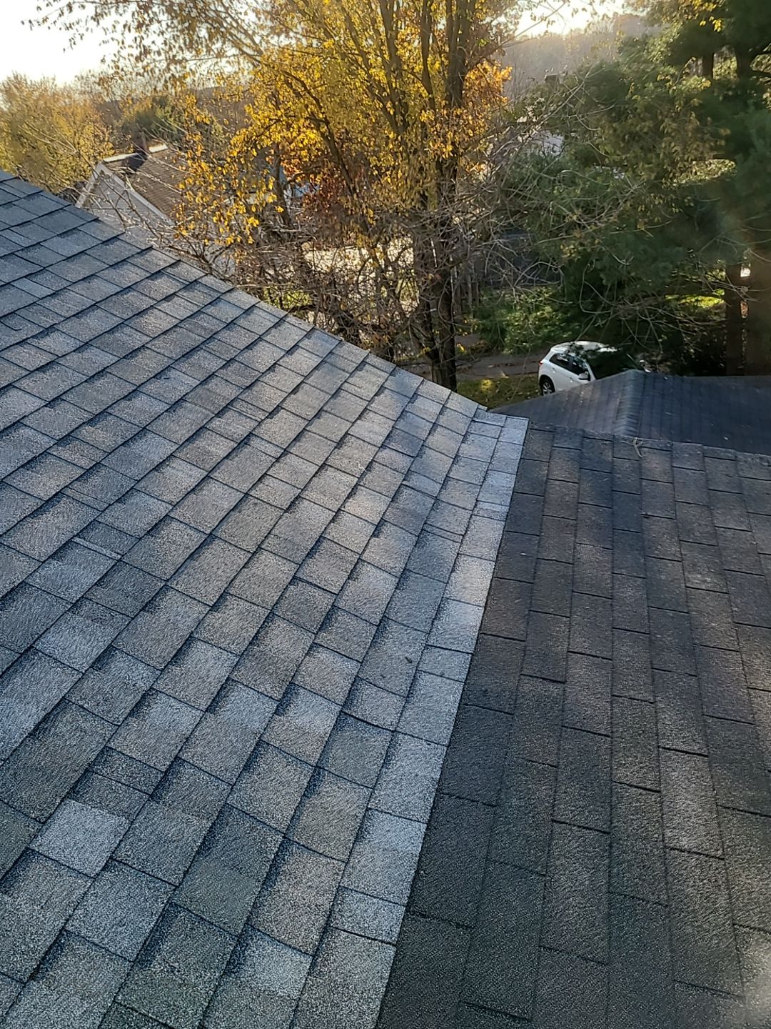 Jeanna Chavez by Silver Leaf Contracting 