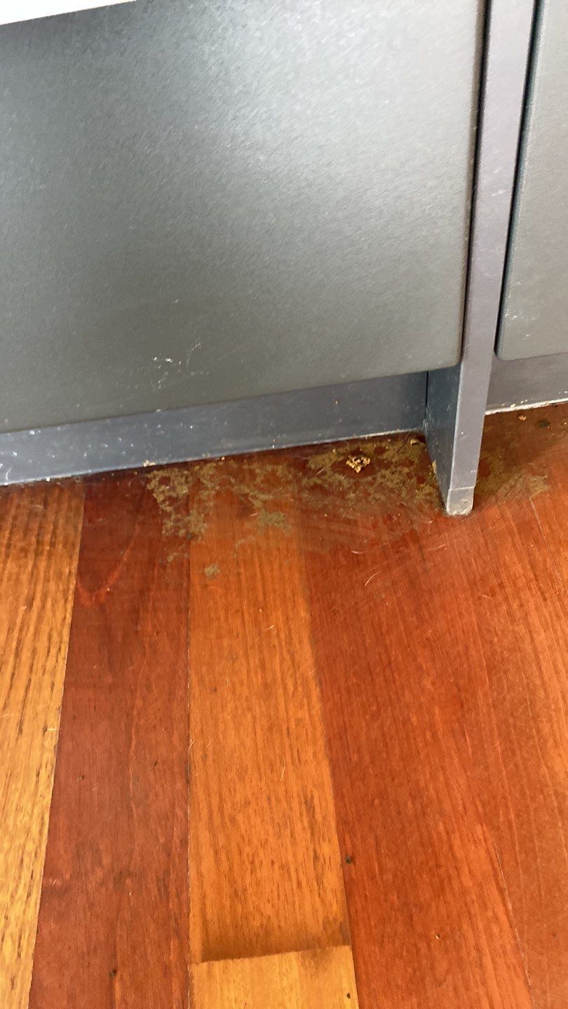 Sewage Backup in Highrise by Chicagoland Water Medics