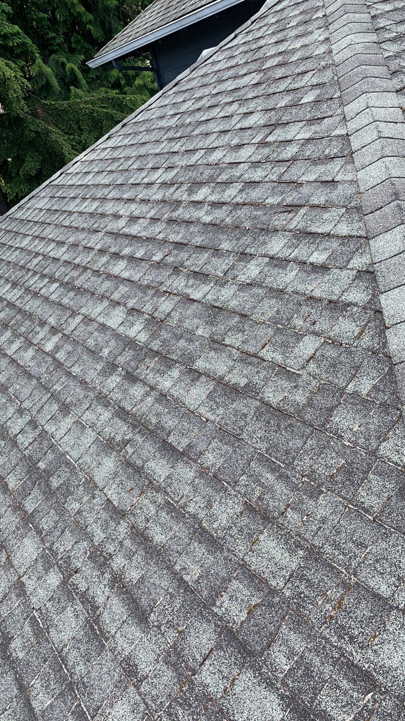 Softwashed in many Years back, and organic regrowth significant by DawnSky LLC