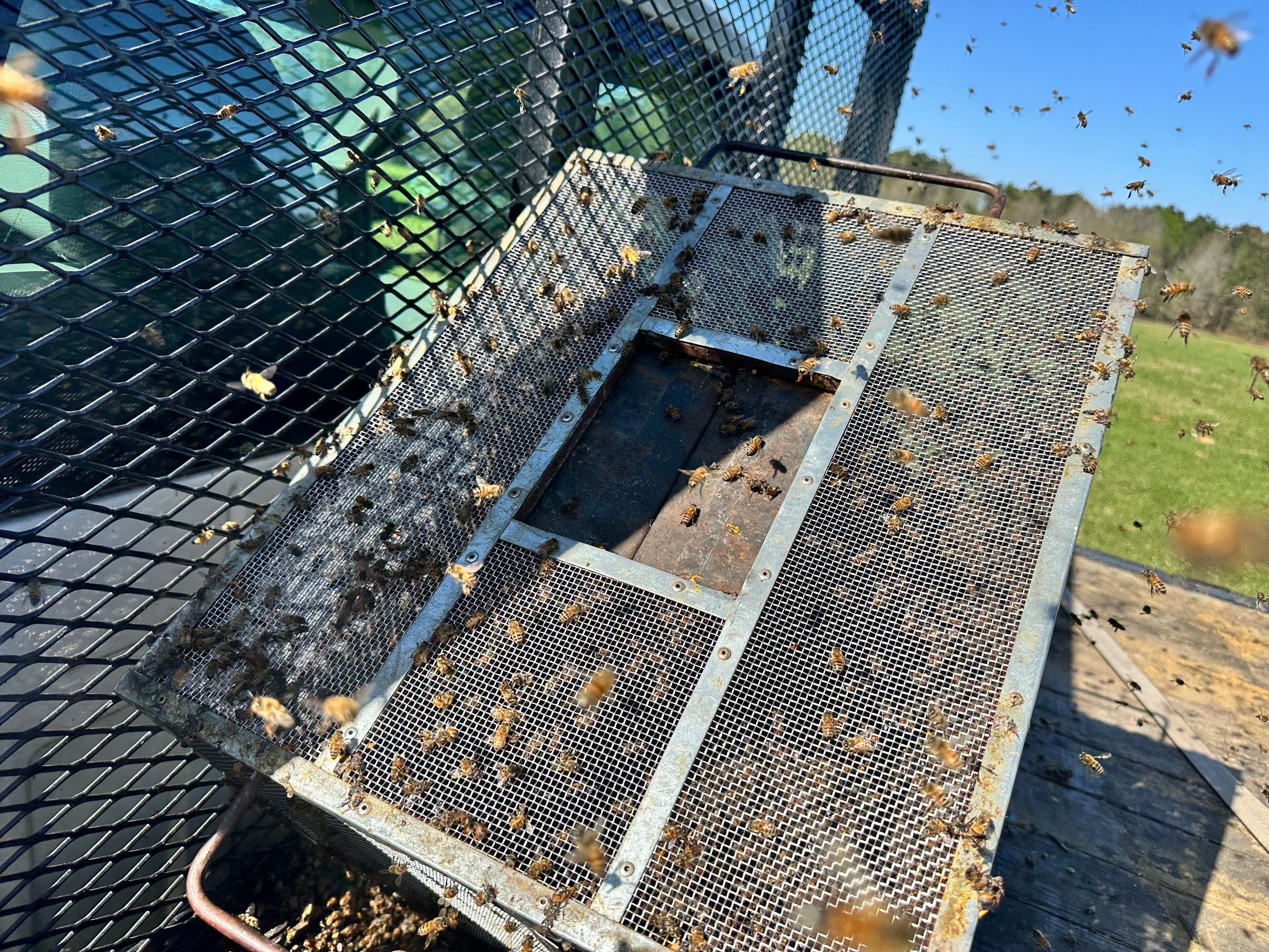 Peanut Farm Apiary by Rockwall Honey Bee Company