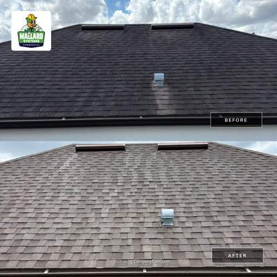 Shingle Roof Cleaning