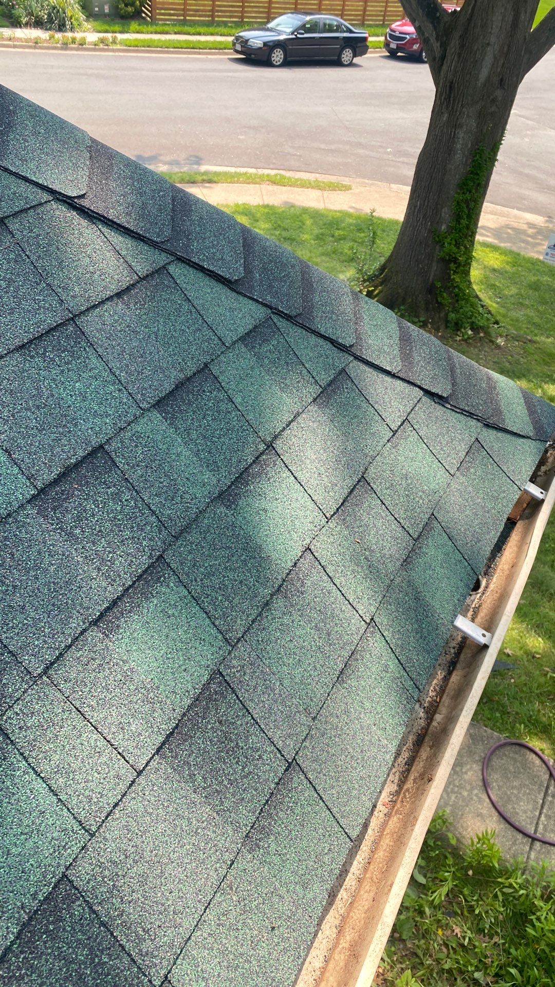 Springfield: Roof Replacement with CertainTeed Landmark Pro in Max Def Evergreen by RM Banning, Inc.