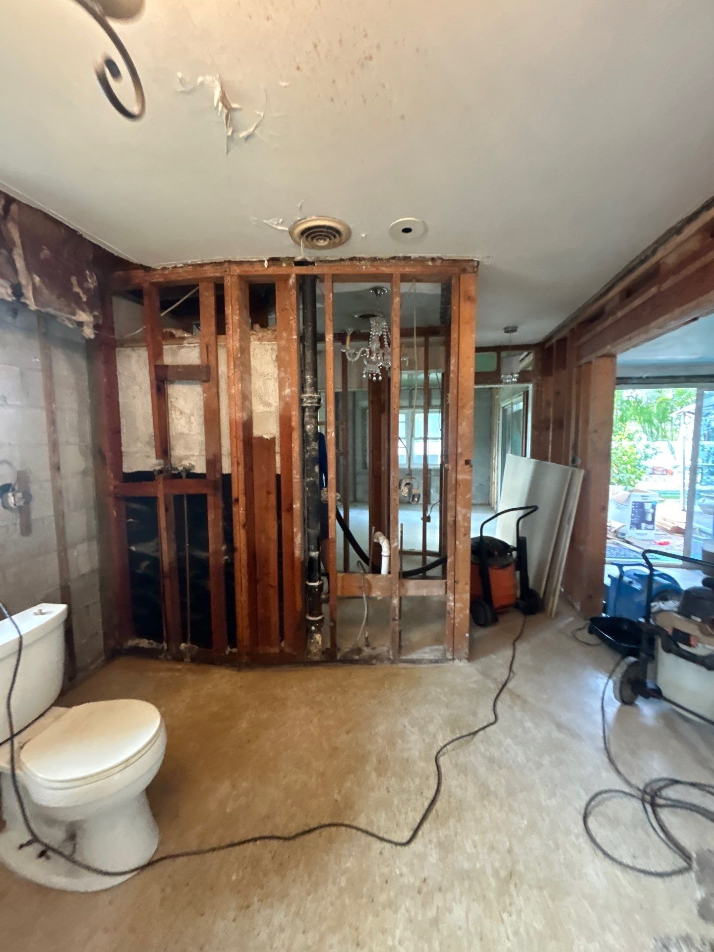 Sarasota Mold Remediation by Ampm Restoration Services